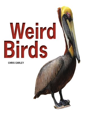 cover image of Weird Birds